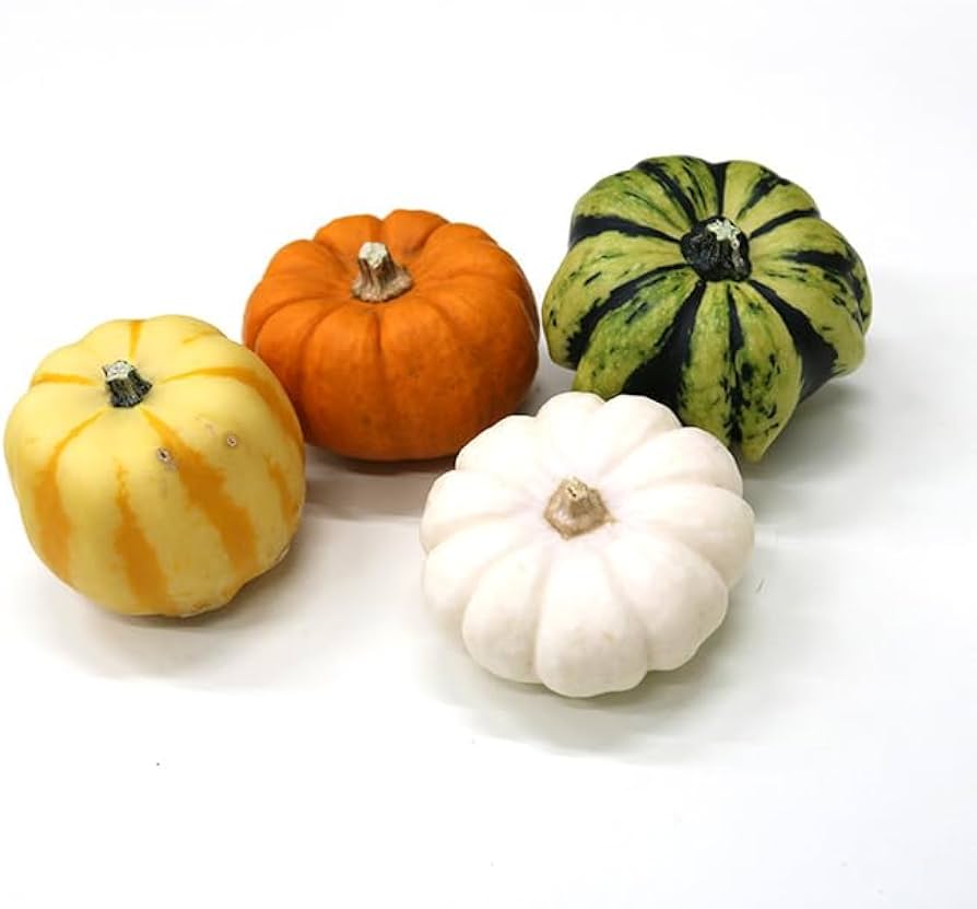 Amazon.co.jp: ハロウィン 片桐農園 おもちゃかぼちゃ ミニ4個